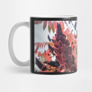 Autumn Rainy Season Day Mug